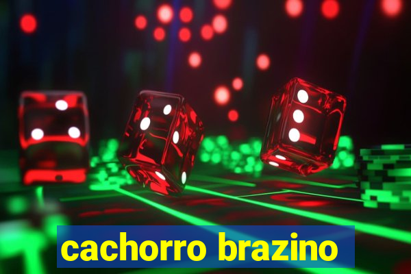 cachorro brazino